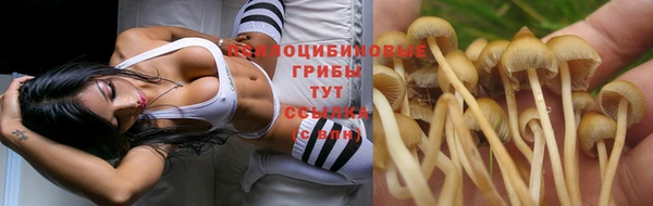 МДПВ Заволжье