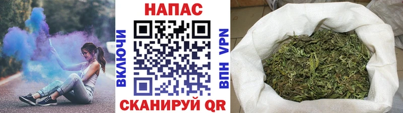 Конопля OG Kush  Купить где  Белый 